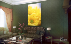 Фотообои «Желтые цветы календулы»