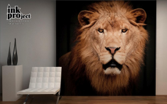 Фотообои «Лев», коллекция «Животные»