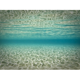 Морская водная симметрия