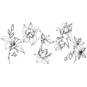 Чёрно-белый рисунок орхидеи