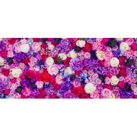 Красивая стена из роз, тюльпанов и других цветов