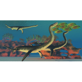 Плезиозавры