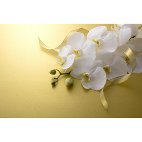 Белая орхидея на золотом фоне
