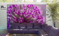 Фотообои «Фиолетовый цветок»