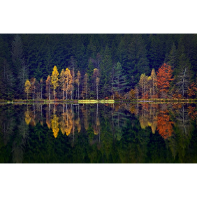 Осенняя симметрия в зеркальной глади озера