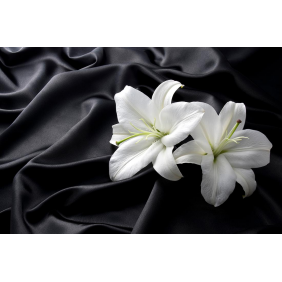Белая лилия на черном шёлке