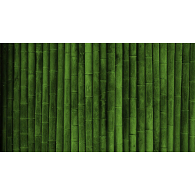 Зеленый бамбуковый забор