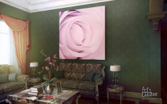 Постер «Бутон розовой розы»