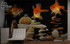 Фотообои «Золотые рыбки», коллекция «Животные»