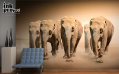Фотообои «Слоны», коллекция «Животные»