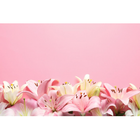 Цветы лилии на розовом фоне