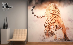 Фотообои «Тигр», коллекция «Животные»