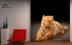 Фотообои «Лежащий тигр», коллекция «Животные»
