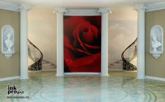Фотообои «Лепестки красной розы»