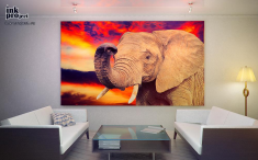 Постер «Добрый слон» в интерьере