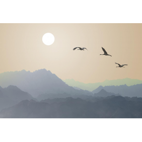 Летящие птицы на фоне солнца и гор