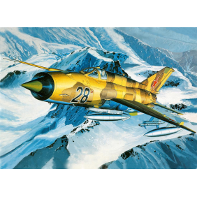 МиГ-21 (3460х2500)