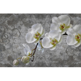 Белая орхидея на винтажном фоне