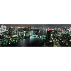 Панорама ночного Токио