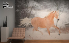 Фотообои «Лошади», коллекция «Животные»