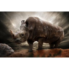 Могучий носорог