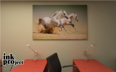 Постер «Лошади»