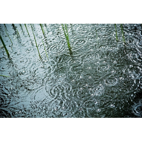 Пузыри от дождя на воде