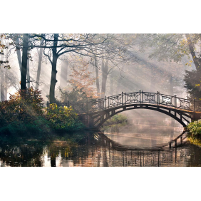 Мост через реку и лучи солнца в лесу
