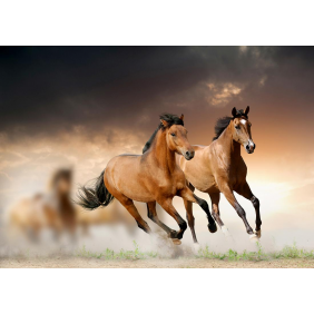 Скачущие лошади